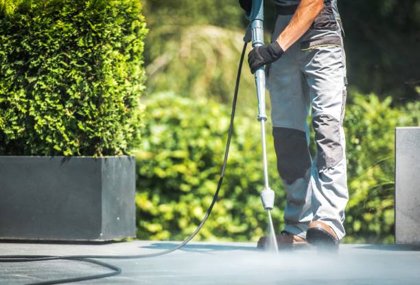 Best Pool Deck Cleaning  in Star City, WV